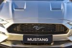 Ford Mustang EcoBoost Convertible 2019 года (ZA)